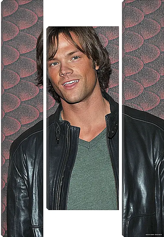 Модульная картина - Джаред Падалеки. Jared Padalecki