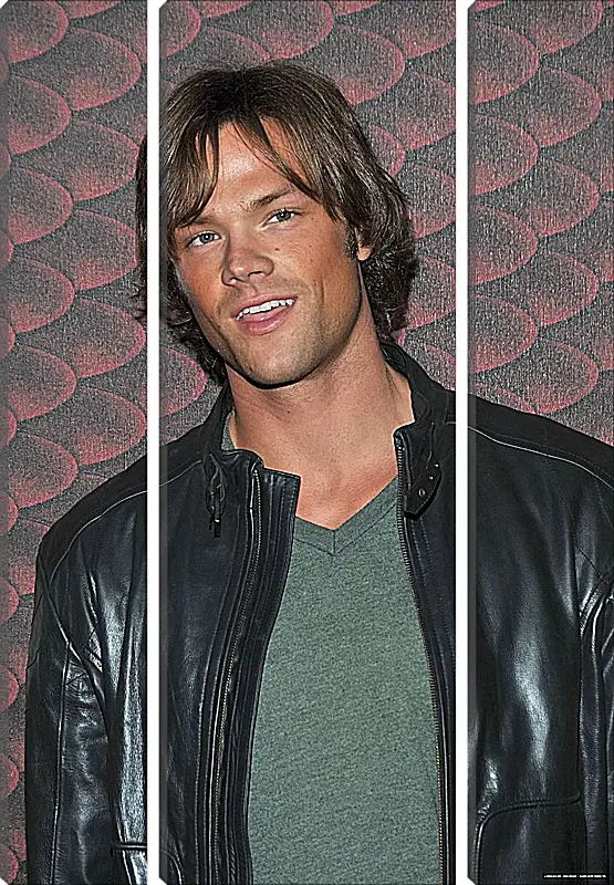 Модульная картина - Джаред Падалеки. Jared Padalecki