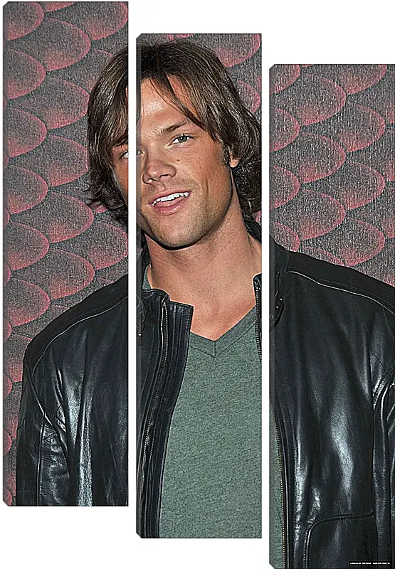 Модульная картина - Джаред Падалеки. Jared Padalecki