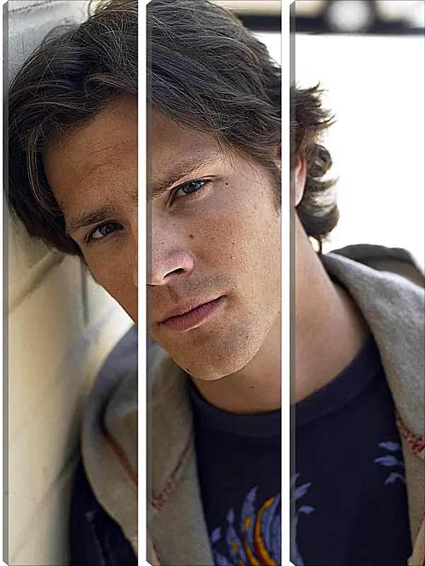 Модульная картина - Джаред Падалеки. Jared Padalecki