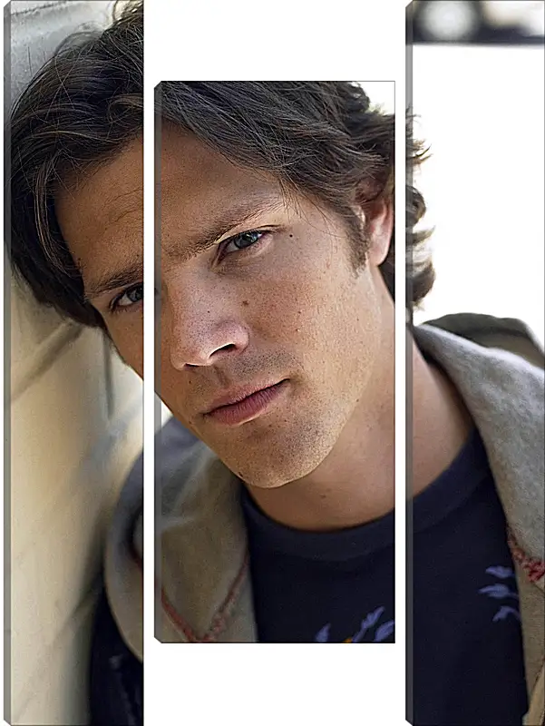 Модульная картина - Джаред Падалеки. Jared Padalecki