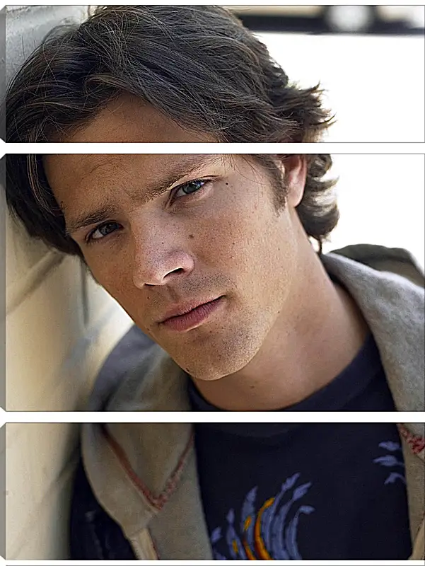 Модульная картина - Джаред Падалеки. Jared Padalecki