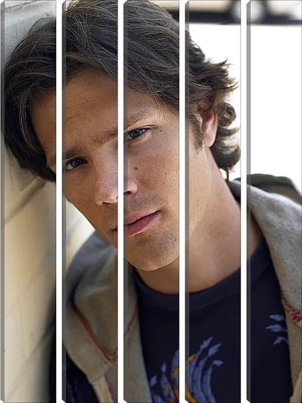 Модульная картина - Джаред Падалеки. Jared Padalecki