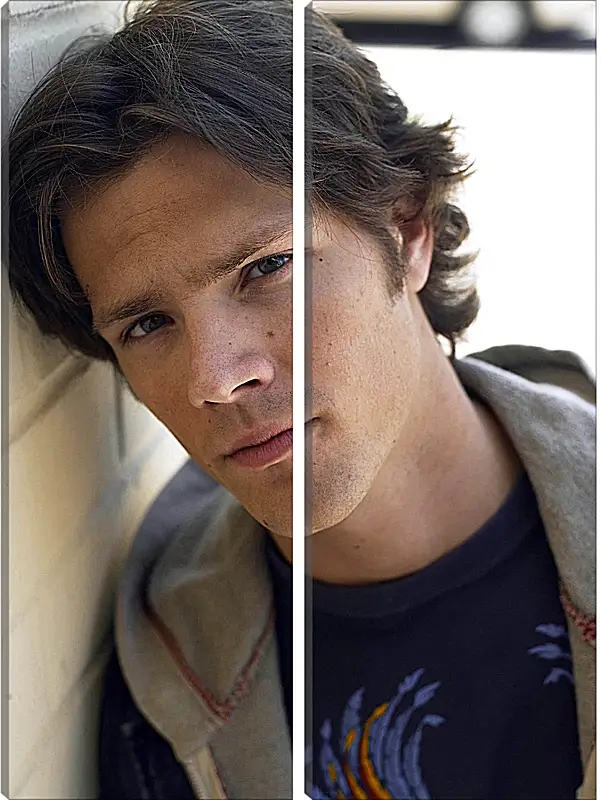 Модульная картина - Джаред Падалеки. Jared Padalecki