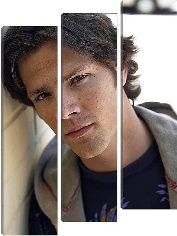 Модульная картина - Джаред Падалеки. Jared Padalecki