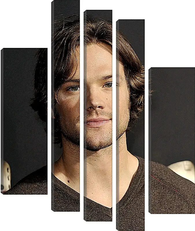 Модульная картина - Джаред Падалеки. Jared Padalecki