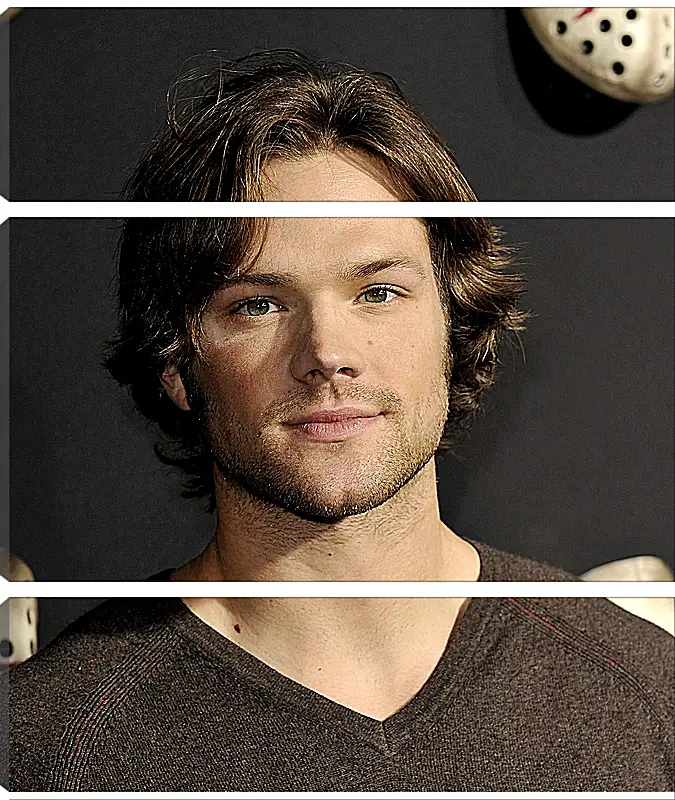 Модульная картина - Джаред Падалеки. Jared Padalecki