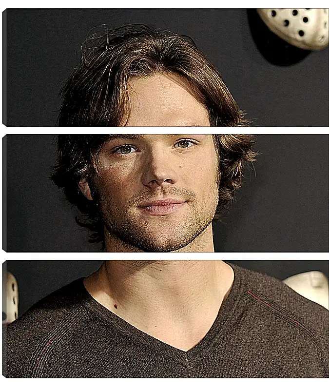 Модульная картина - Джаред Падалеки. Jared Padalecki