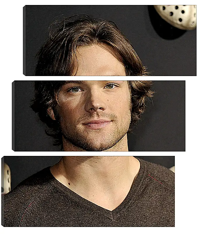 Модульная картина - Джаред Падалеки. Jared Padalecki