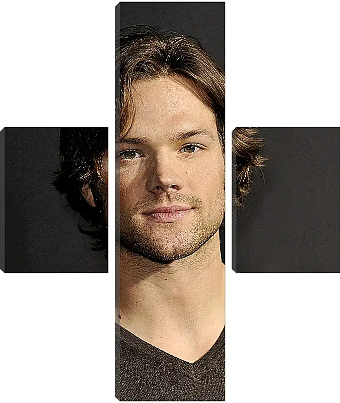 Модульная картина - Джаред Падалеки. Jared Padalecki