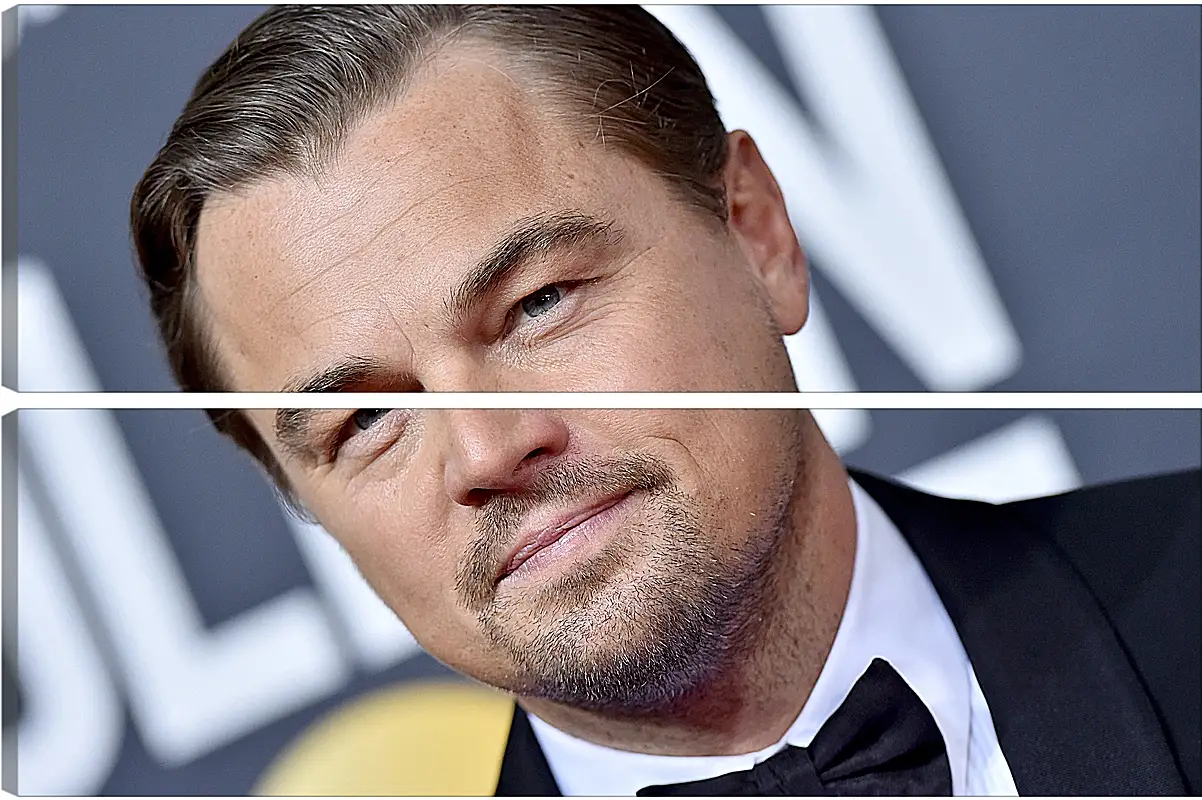 Модульная картина - Леонардо Ди Каприо. Leonardo DiCaprio