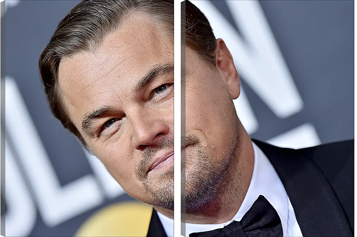 Модульная картина - Леонардо Ди Каприо. Leonardo DiCaprio