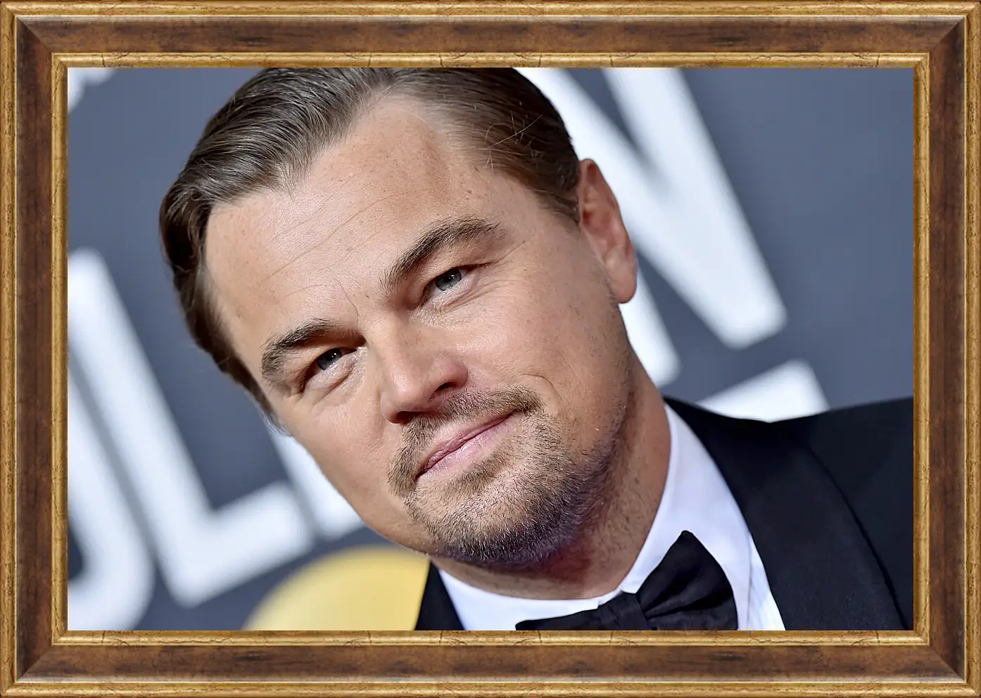 Картина в раме - Леонардо Ди Каприо. Leonardo DiCaprio