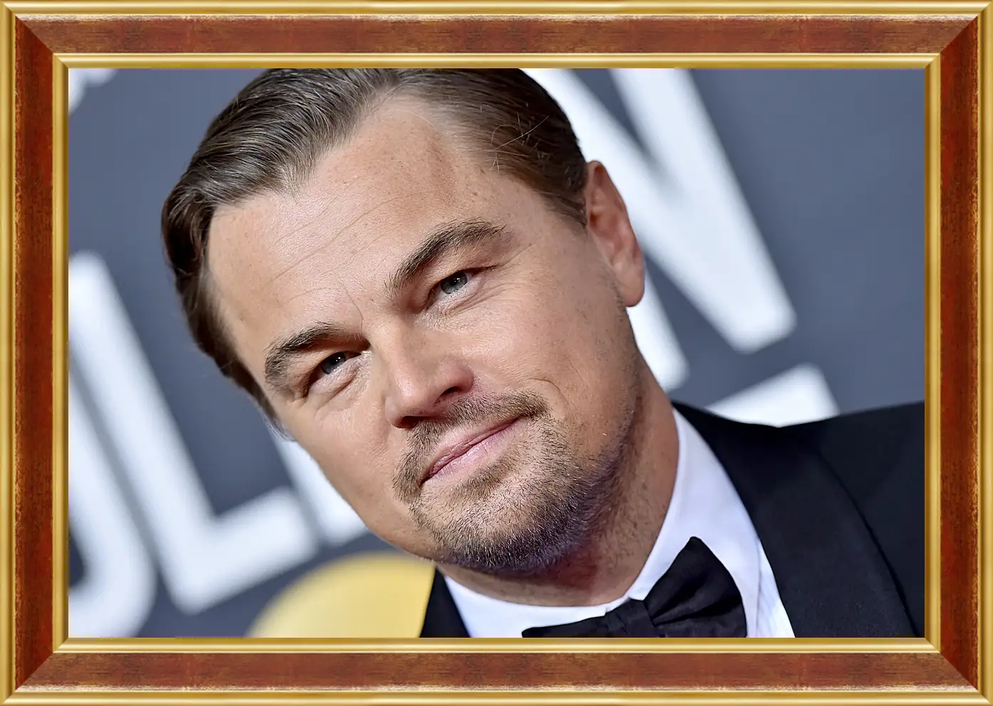 Картина в раме - Леонардо Ди Каприо. Leonardo DiCaprio