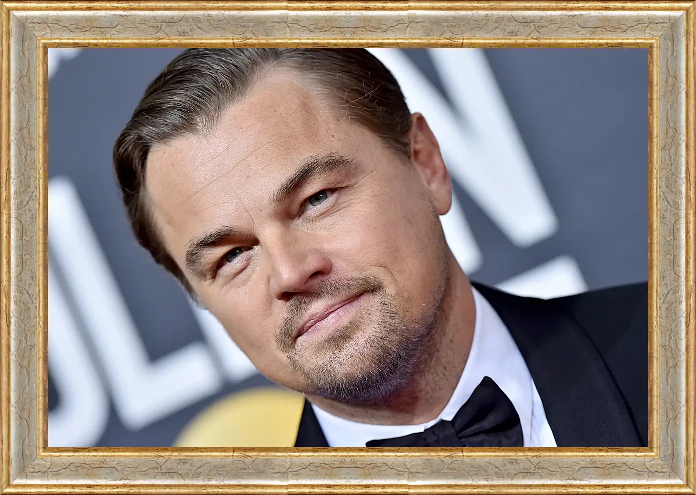 Картина в раме - Леонардо Ди Каприо. Leonardo DiCaprio