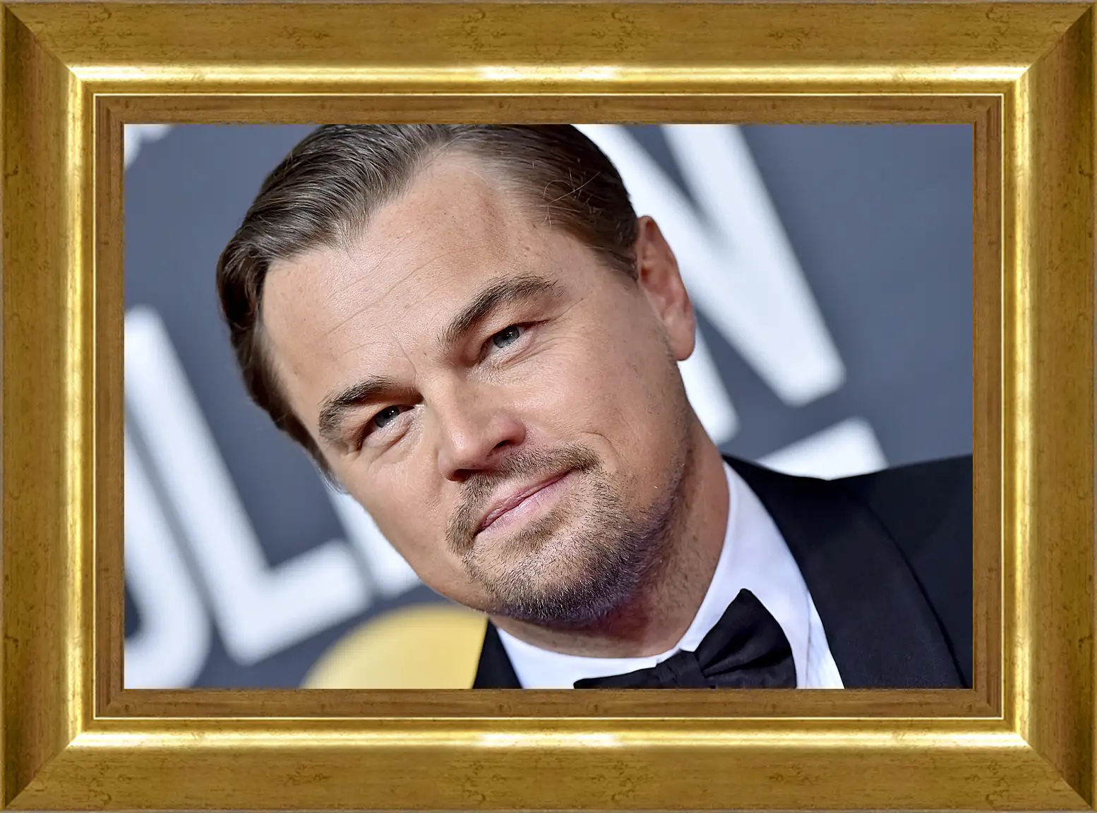 Картина в раме - Леонардо Ди Каприо. Leonardo DiCaprio