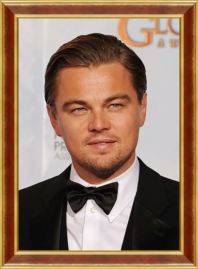 Картина в раме - Леонардо Ди Каприо. Leonardo DiCaprio