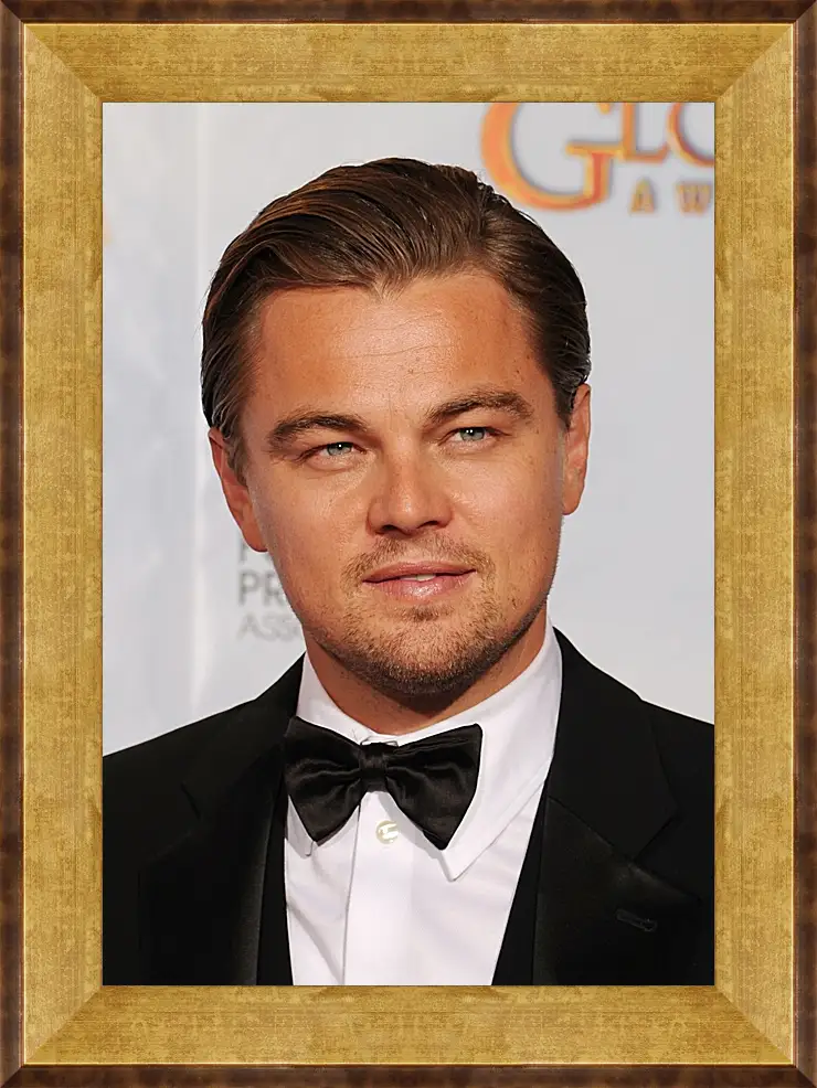 Картина в раме - Леонардо Ди Каприо. Leonardo DiCaprio