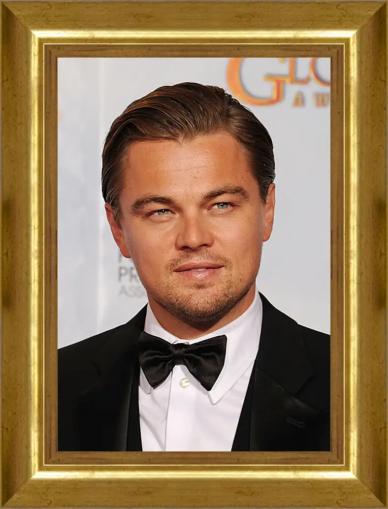 Картина в раме - Леонардо Ди Каприо. Leonardo DiCaprio