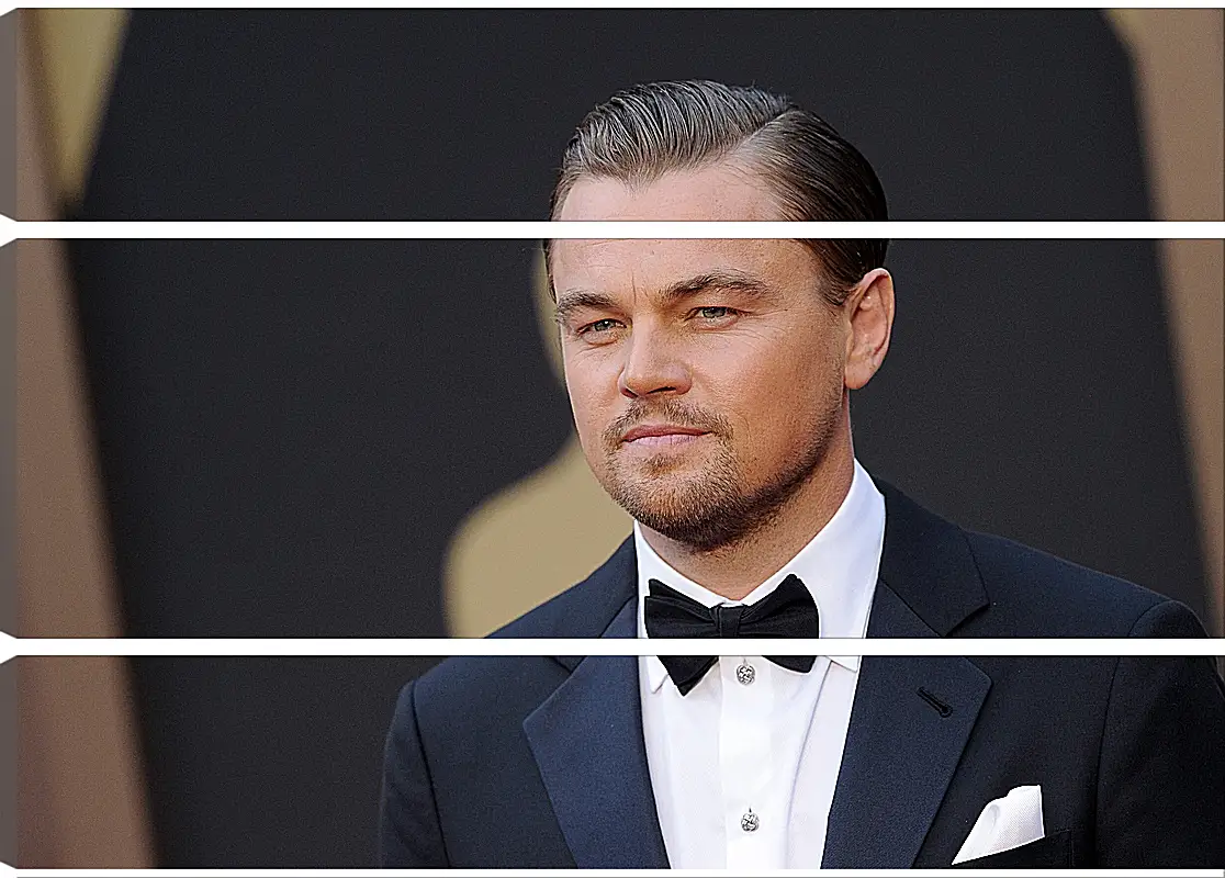 Модульная картина - Леонардо Ди Каприо. Leonardo DiCaprio