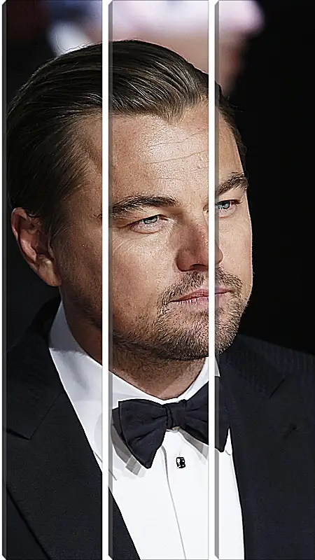 Модульная картина - Леонардо Ди Каприо. Leonardo DiCaprio