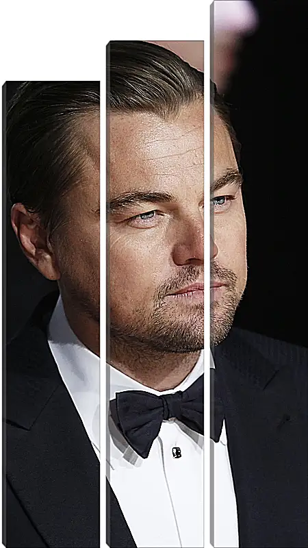 Модульная картина - Леонардо Ди Каприо. Leonardo DiCaprio