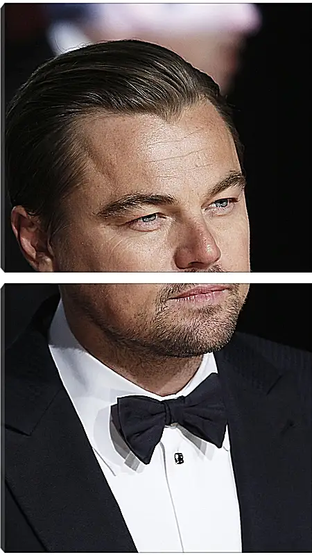 Модульная картина - Леонардо Ди Каприо. Leonardo DiCaprio