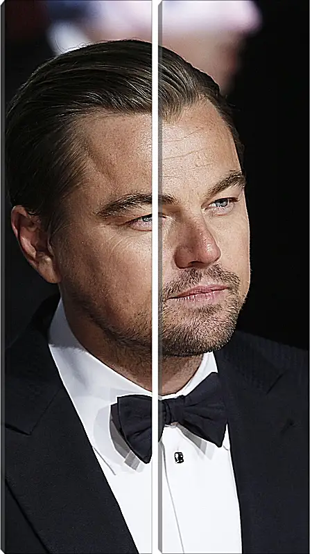 Модульная картина - Леонардо Ди Каприо. Leonardo DiCaprio