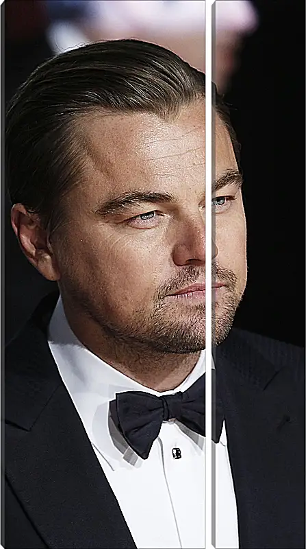 Модульная картина - Леонардо Ди Каприо. Leonardo DiCaprio