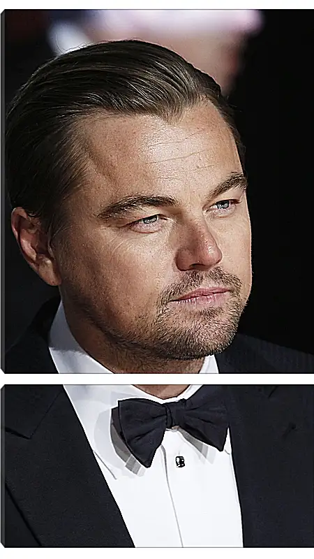 Модульная картина - Леонардо Ди Каприо. Leonardo DiCaprio