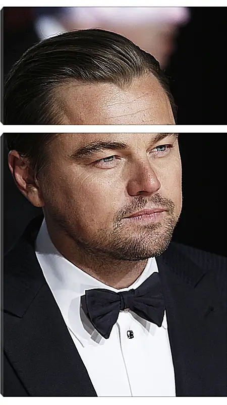 Модульная картина - Леонардо Ди Каприо. Leonardo DiCaprio