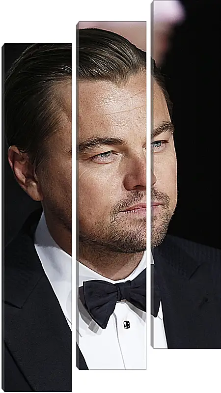 Модульная картина - Леонардо Ди Каприо. Leonardo DiCaprio