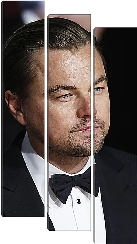 Модульная картина - Леонардо Ди Каприо. Leonardo DiCaprio