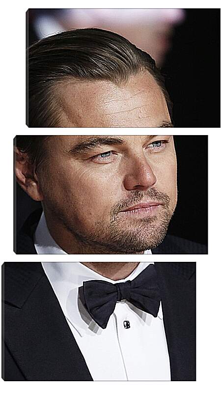 Модульная картина - Леонардо Ди Каприо. Leonardo DiCaprio