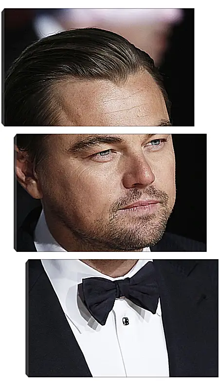 Модульная картина - Леонардо Ди Каприо. Leonardo DiCaprio