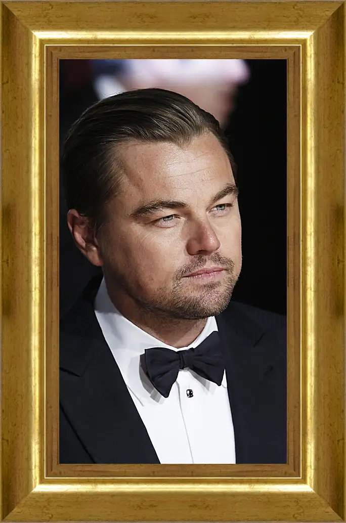 Картина в раме - Леонардо Ди Каприо. Leonardo DiCaprio