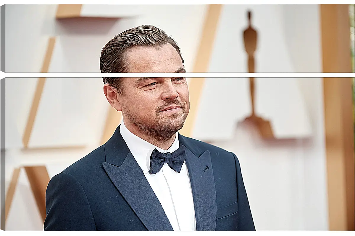 Модульная картина - Леонардо Ди Каприо. Leonardo DiCaprio