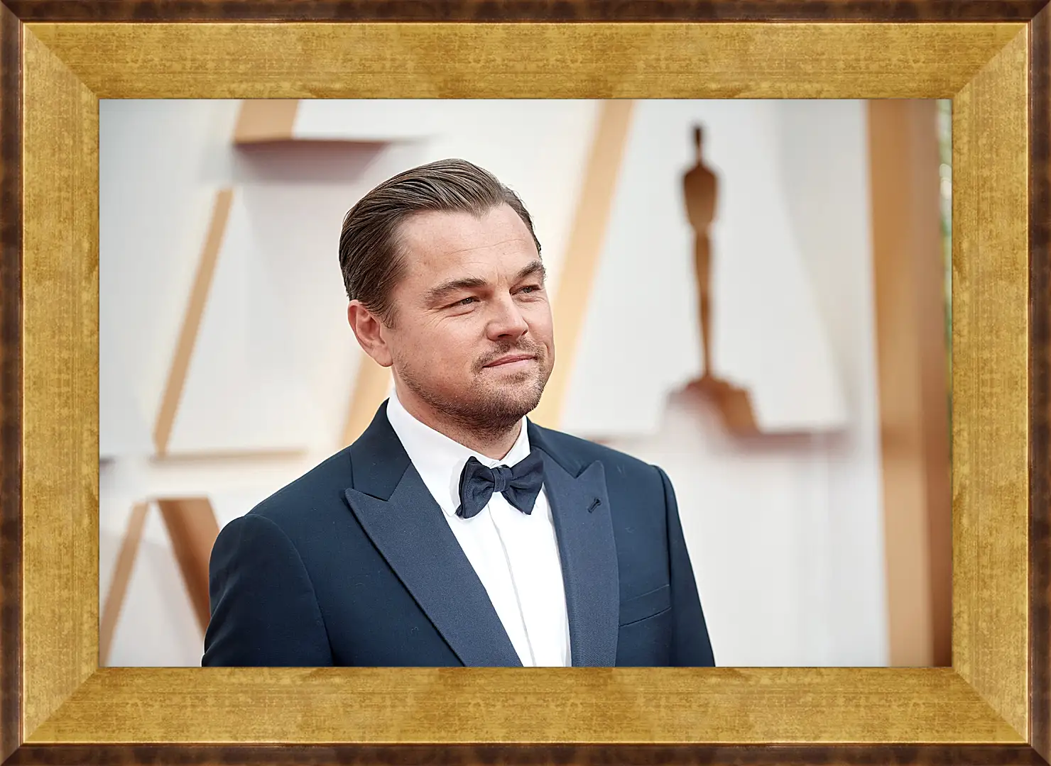 Картина в раме - Леонардо Ди Каприо. Leonardo DiCaprio