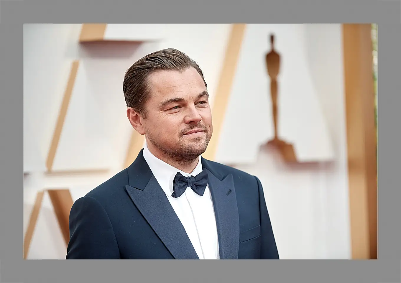 Картина в раме - Леонардо Ди Каприо. Leonardo DiCaprio