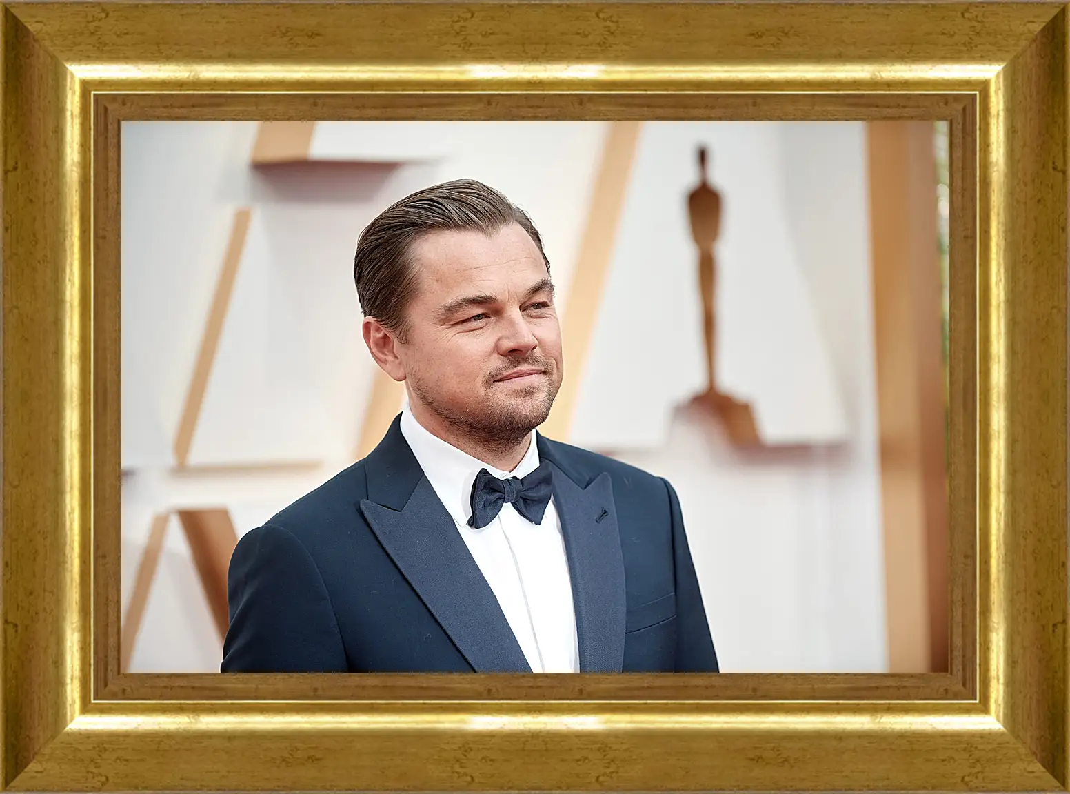 Картина в раме - Леонардо Ди Каприо. Leonardo DiCaprio