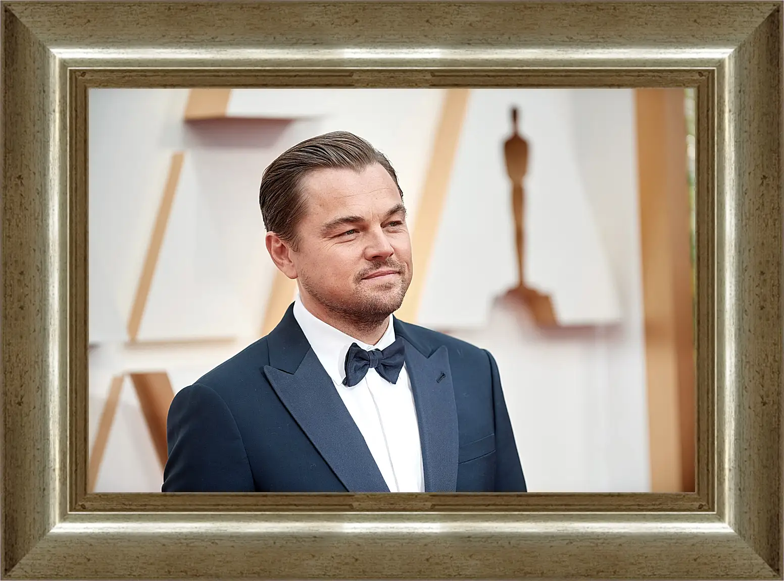 Картина в раме - Леонардо Ди Каприо. Leonardo DiCaprio