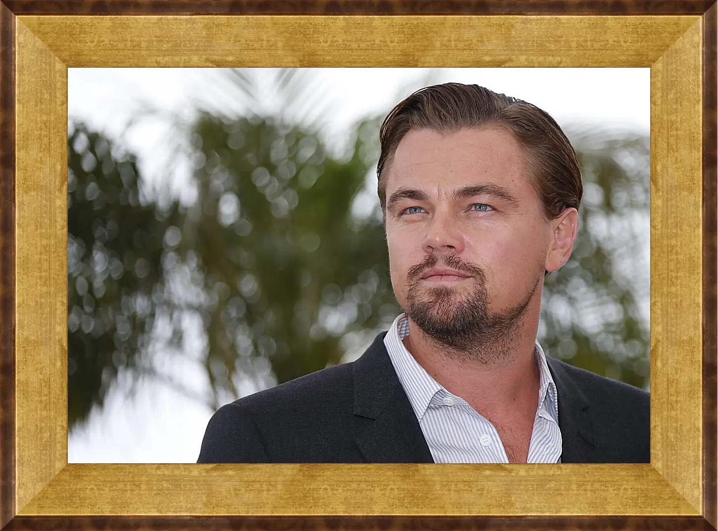 Картина в раме - Леонардо Ди Каприо. Leonardo DiCaprio