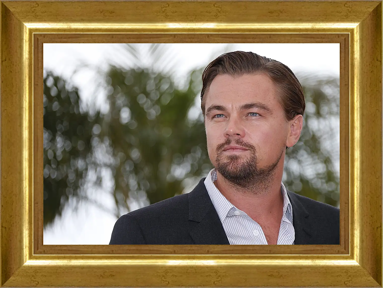 Картина в раме - Леонардо Ди Каприо. Leonardo DiCaprio