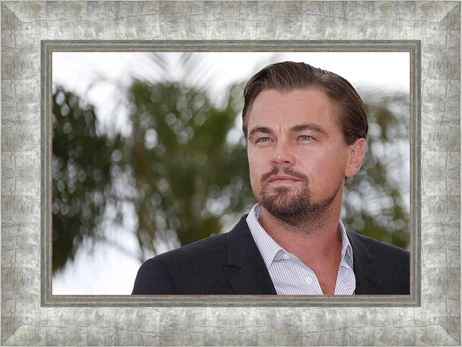 Картина в раме - Леонардо Ди Каприо. Leonardo DiCaprio