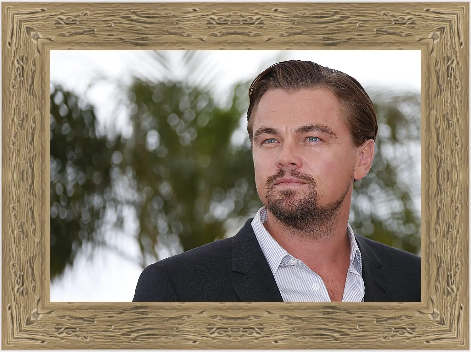 Картина в раме - Леонардо Ди Каприо. Leonardo DiCaprio