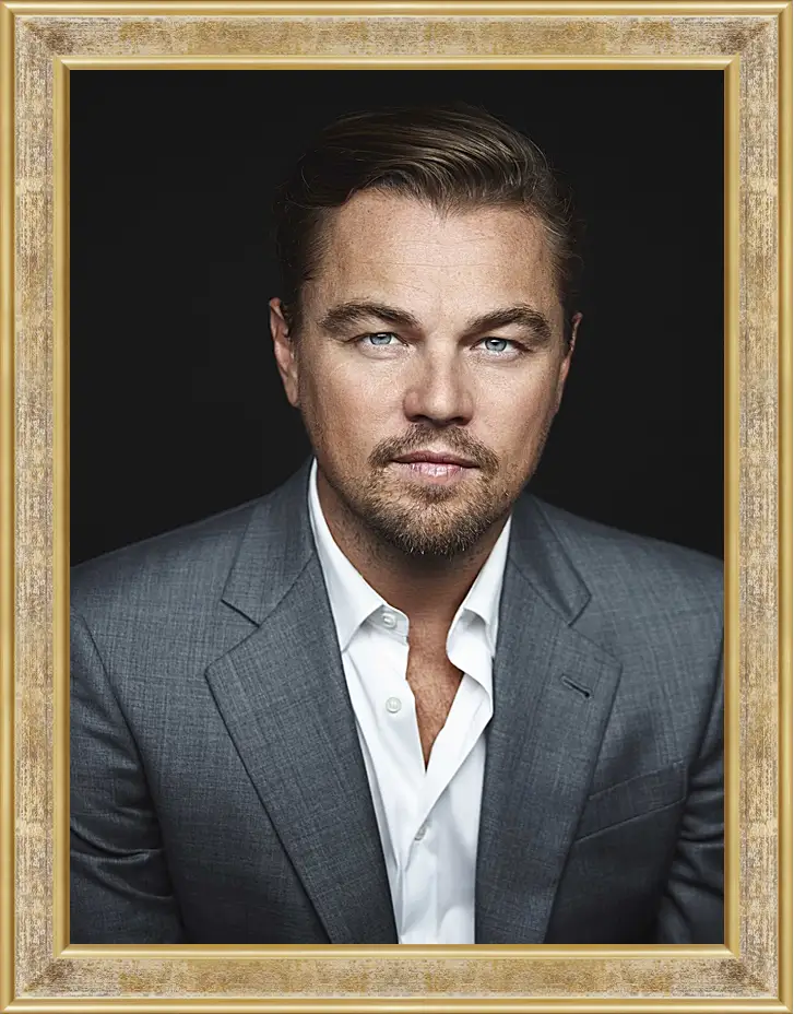 Картина в раме - Леонардо Ди Каприо. Leonardo DiCaprio