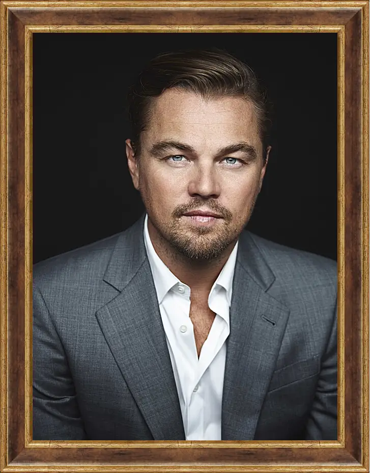 Картина в раме - Леонардо Ди Каприо. Leonardo DiCaprio