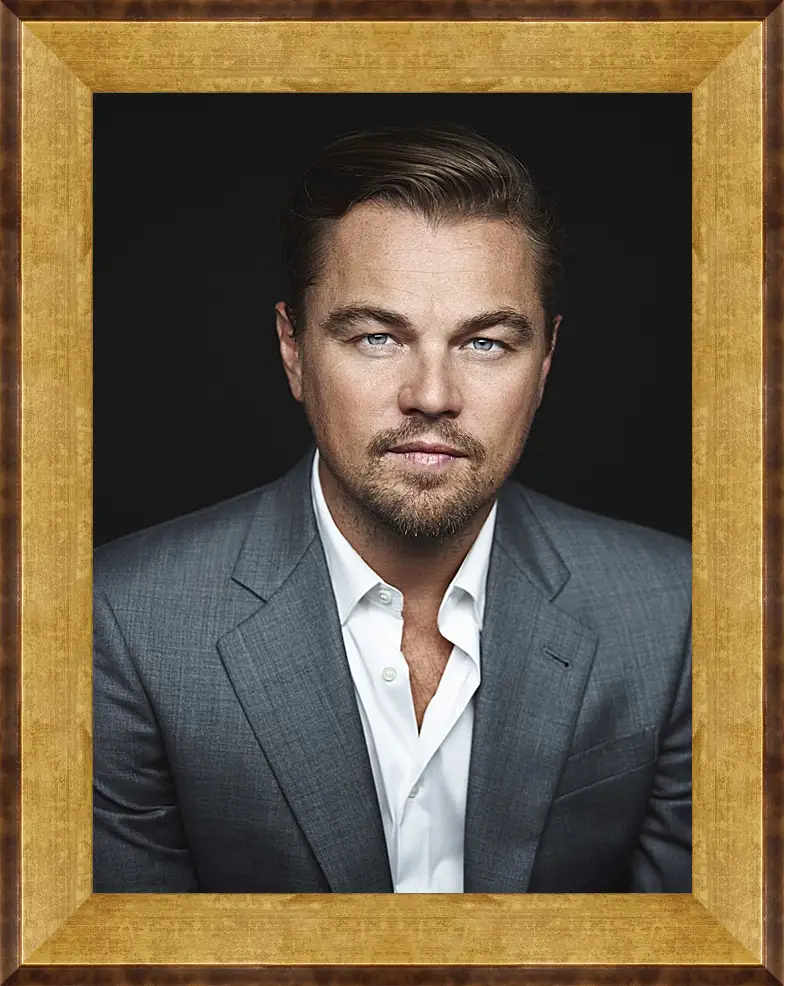 Картина в раме - Леонардо Ди Каприо. Leonardo DiCaprio