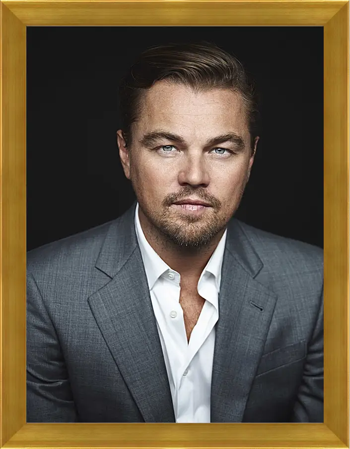 Картина в раме - Леонардо Ди Каприо. Leonardo DiCaprio