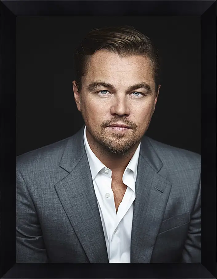 Картина в раме - Леонардо Ди Каприо. Leonardo DiCaprio